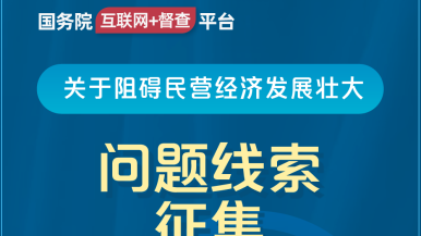 女人扣逼的网站国务院“互联网+督查”平台公开征集阻碍民营经济发展壮大问题线索